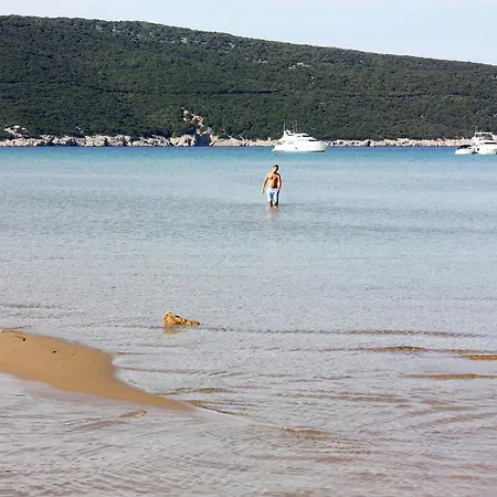 With Parking Space Lopar, Rab - 16680 Διαμέρισμα Lopar